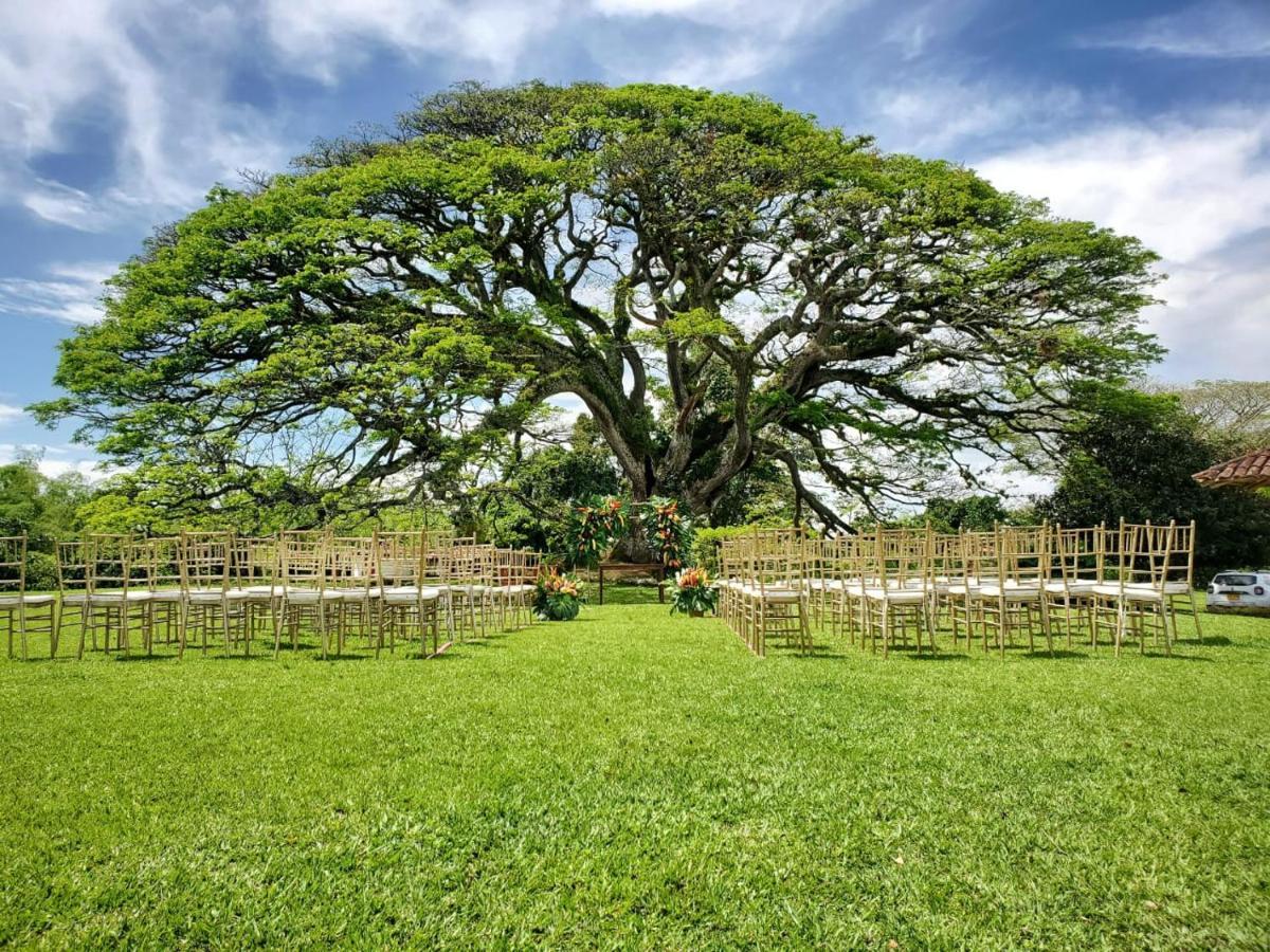 Hacienda El Samán Villa Quimbaya Exterior foto