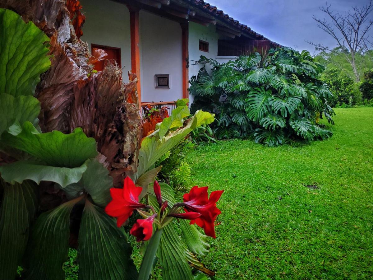 Hacienda El Samán Villa Quimbaya Exterior foto